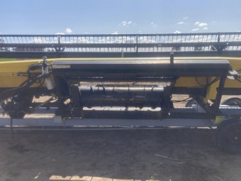 30ft Honey Bee Front SP30