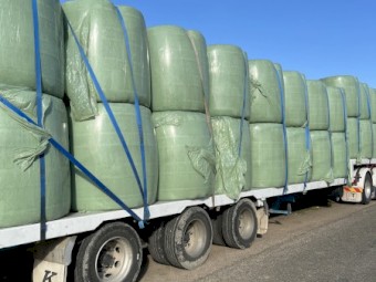 Lucerne Silage