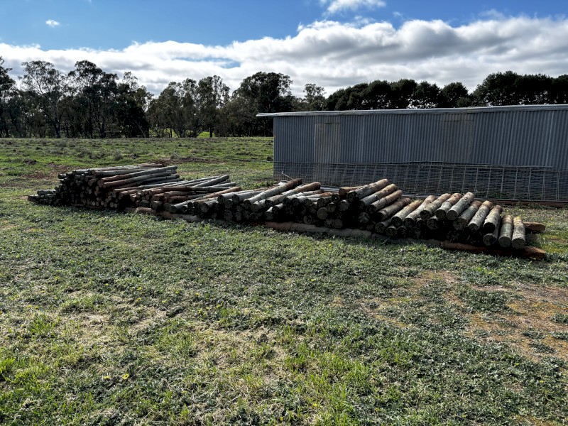 Second hand treated pine posts
