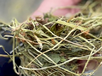 Sub Clover, 5x4 Rounds, Net Wrap