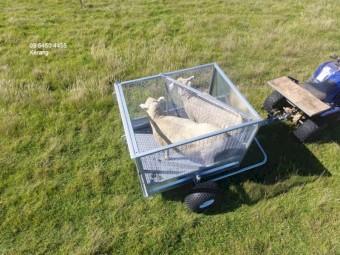 EWE LIFT ATV Trailer 5' x 4' Calf Trailer