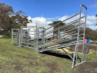 Arrow Crush, Draft and Ramp