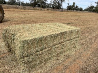  Vetch Hay 8x4x3 Bales (New Season 24/25)