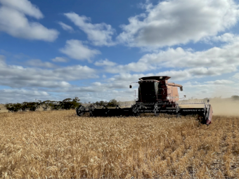 2004 Case 2388 (X-Clusive model) & 36ft 2052 model MacDon front.