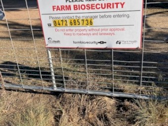 New Season Barley Hay 4*4