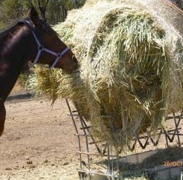 New Season Barley Hay 4*4