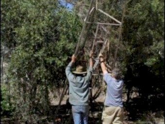 Southern Cross Windmill for sale