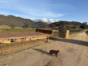 44ft Lusty Drop deck