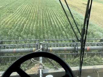 2016 Macdon Draper front