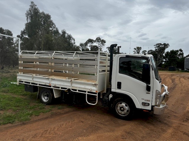 2017 Isuzu NPR65 -190 with sheep crate