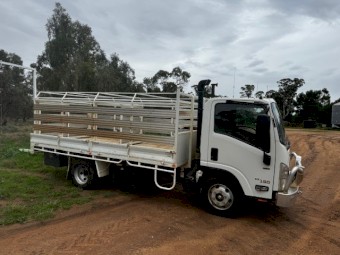 2017 Isuzu NPR65 -190 with sheep crate
