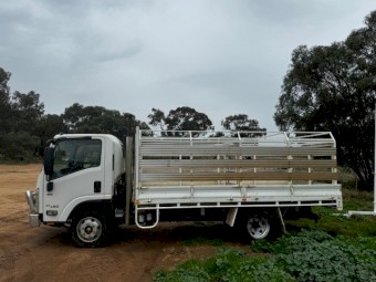 2017 Isuzu NPR65 -190 with sheep crate