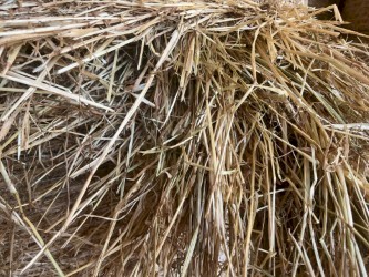 5X4 Rounds with 20% Lucerne