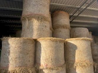 5X4 Rounds with 20% Lucerne