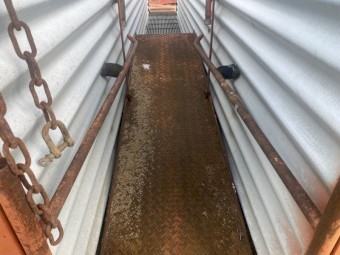 Sheep Jetter Flyaway 