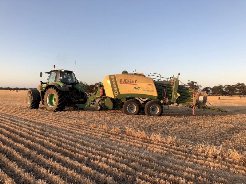 CONTRACT SQUARE  BALING