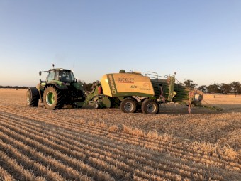 CONTRACT SQUARE  BALING