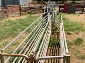 Peak Hill Sheep Handler