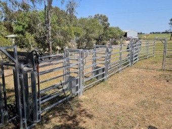 Portable cattle yards 