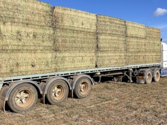 600mt Vetch Hay 640kg 8x4x3 Bales