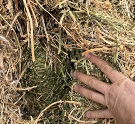 100mt Vetch Hay 650-670kg 8x4x3 Bales (New Season 24/25)