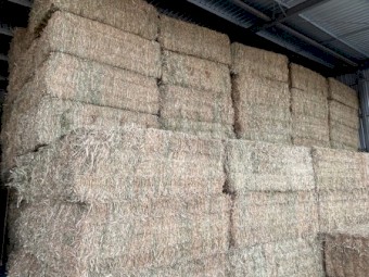 Canola Hay 650kg 8x4x3   (New Season 2024)