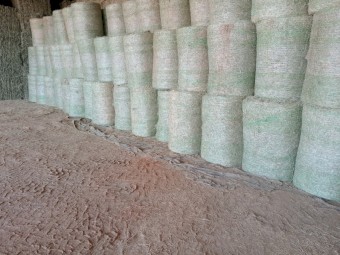 1000 x Rhodes Grass 4x3 Bales