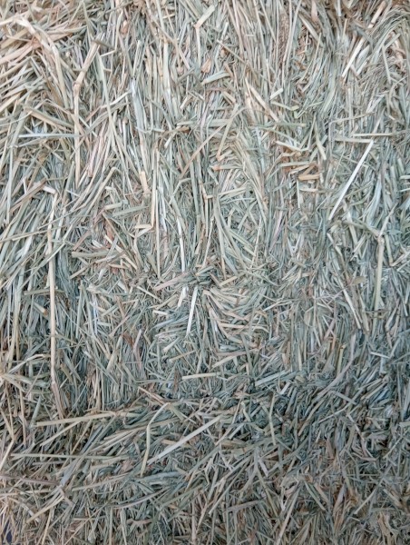 New lot 4/11/24 Rhodes Grass 500kg 8x4x3 Bales