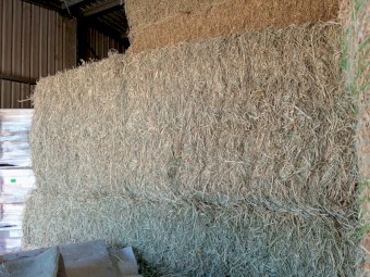 New lot 4/11/24 Rhodes Grass 500kg 8x4x3 Bales