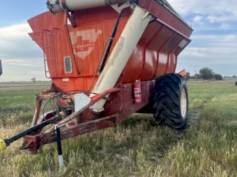 Bordignon Chaser Bin