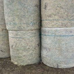 Shedded 4^4 Freshly cut Oaten Hay