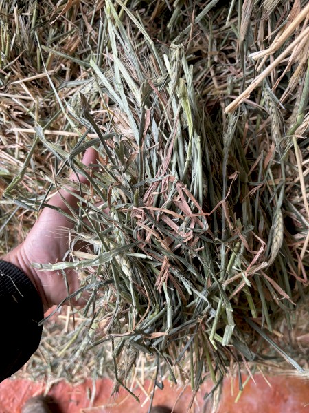 84mt Wheaten Hay 680kg 8x4x3 Bales