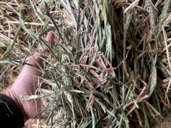 84mt Wheaten Hay 680kg 8x4x3 Bales