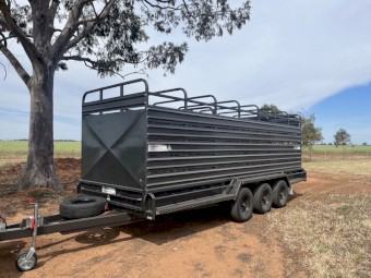 Trailers Star 20x6 Tri-axle Cattle trailer 4.5t Rated (Axle and Tyres rated at 6t) Double Centre Divider With Removable Cattle Cage