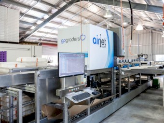 Automatic Blueberry Grader - GP GRADER