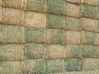 60mt Wheaten Hay 700kg 8x4x3 Bales