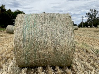 Oaten Hay 4x4 Bales