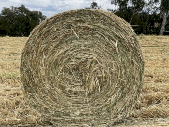 Oaten Hay 4x4 Bales