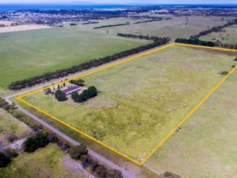 Standing Paddock - AVAILABLE NOW