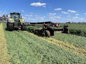 Oat and vetch mix Hay