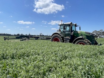 500 x Oat/Vetch Mix Hay 475-500kg 8x4x3 Bales