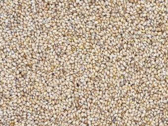 Shirohie Millet Bulka Bags $2.85 + GST per kg