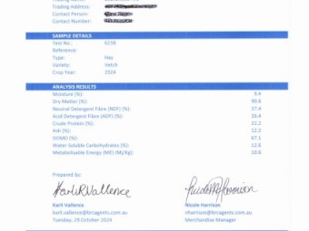 250mt approx. Vetch Hay 8x4x3 Bales
