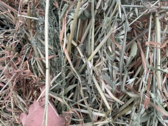 500 x Oat and Vetch Mix Hay 475-500kg 8x4x3 Bales