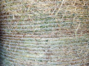Pasture Hay 4x4 Rounds