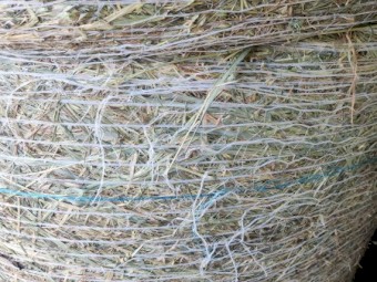 Pasture Hay 4x4 Rounds