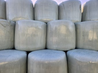 Pasture Silage 4x4 Round Bales