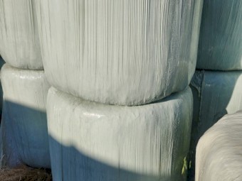 Pasture Silage 4x4 Round Bales