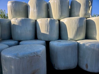 Pasture Silage 4x4 Round Bales