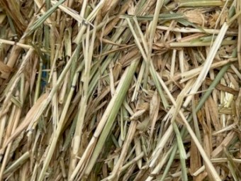 500mt Wheaten Hay 600kg 8x4x3 Bales